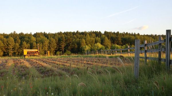 Les avantages d'engager un pro du terrassement à Vioménil